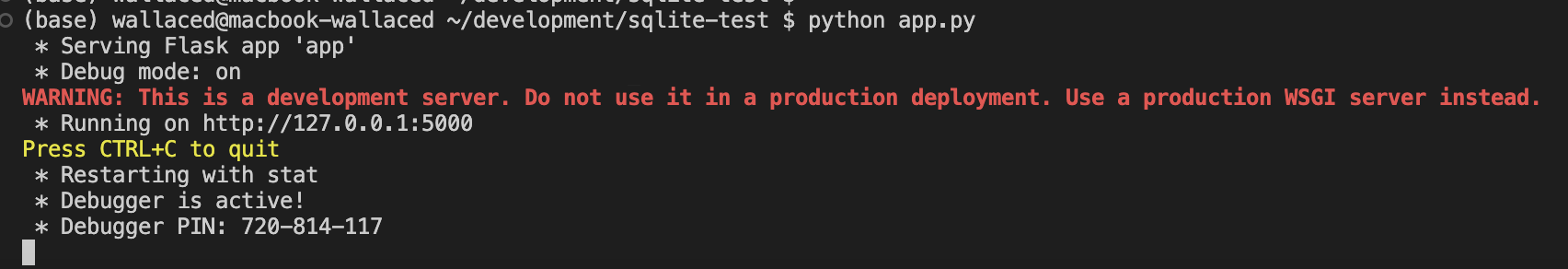 Output from starting Flask app